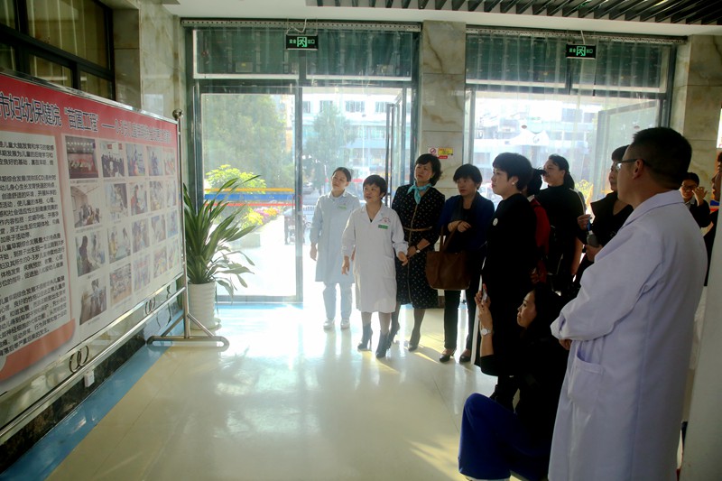 云南省妇儿工委深入我院考察0-3岁儿童早期综合发展项目