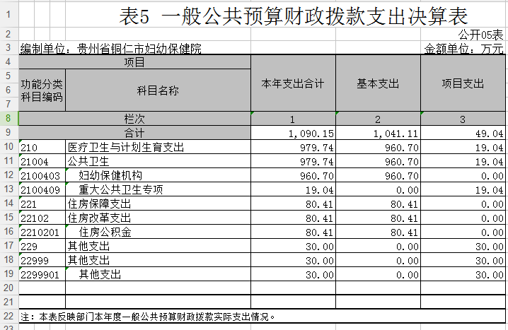 一般公共预算财政拨款支出决算表