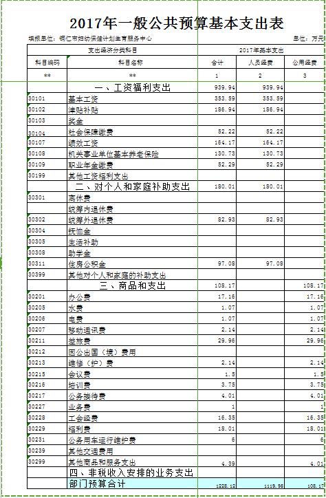 2017年一般公共预算基本支出表
