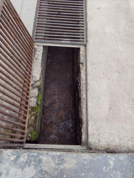 我院开展节前病媒生物防制工作