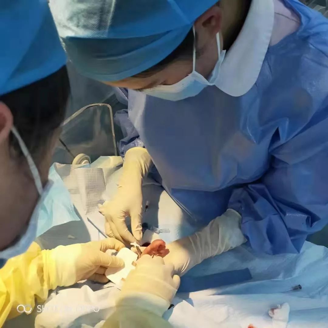 铜仁市妇幼保健院新生儿科同时开展LISA和PICC置管两项新技术