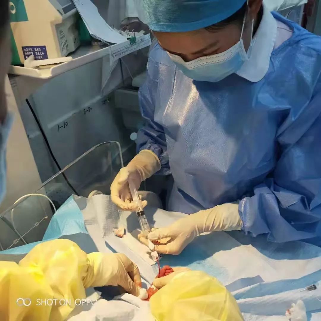 铜仁市妇幼保健院新生儿科同时开展LISA和PICC置管两项新技术