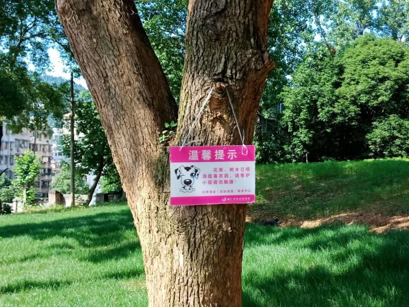 铜仁市妇幼保健院持续开展病媒生物之灭蚊工作