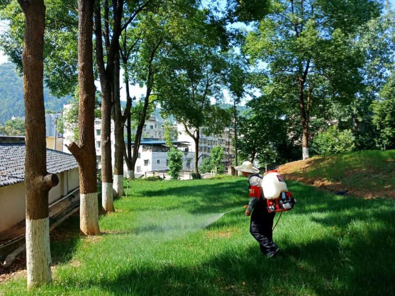 铜仁市妇幼保健院持续开展病媒生物之灭蚊工作