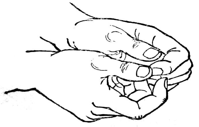 0-3岁儿童中医管理健康知识宣传知识