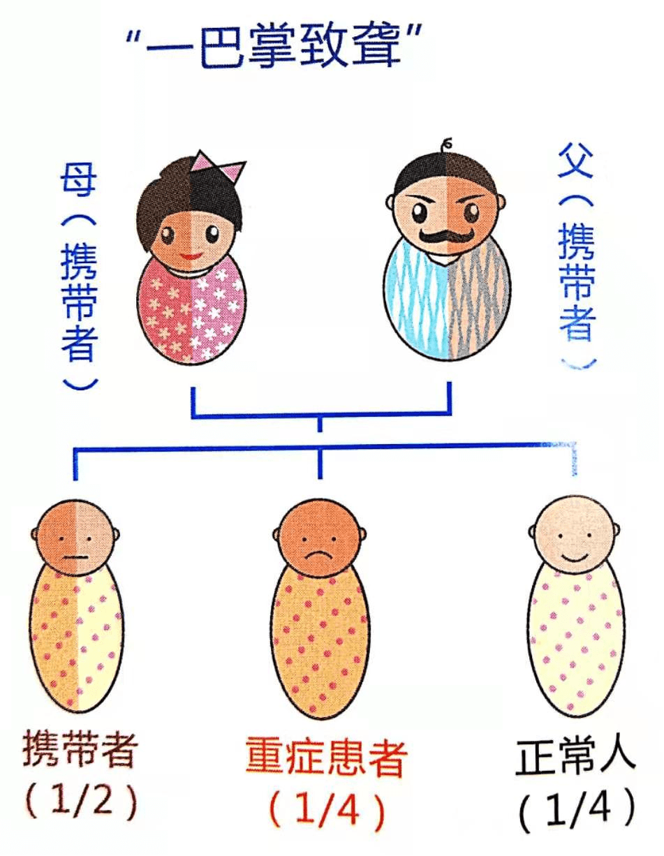 【科普】耳聋基因检测——爱Ta,就让Ta听到