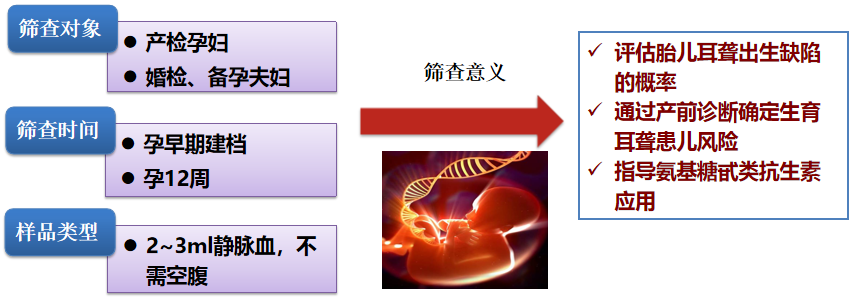 【科普】耳聋基因检测——爱Ta,就让Ta听到
