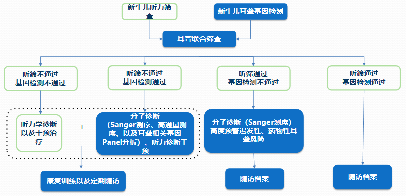 【科普】耳聋基因检测——爱Ta,就让Ta听到