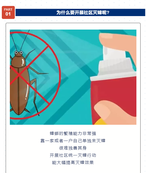 知识 | 家庭灭蟑指南，请查收