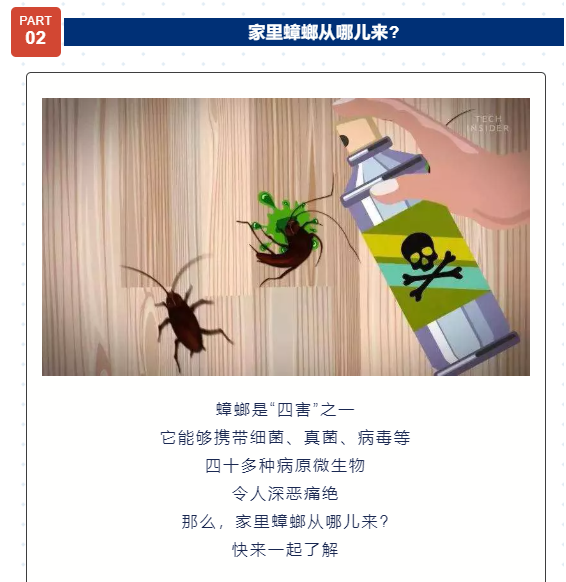 知识 | 家庭灭蟑指南，请查收