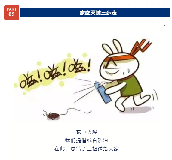 知识 | 家庭灭蟑指南，请查收