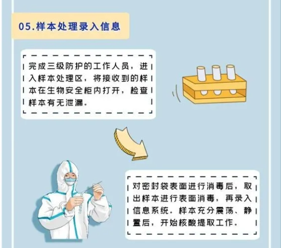 【科普】核酸检测背后的故事：你的鼻、咽拭子样本都去哪了？