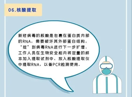 【科普】核酸检测背后的故事：你的鼻、咽拭子样本都去哪了？