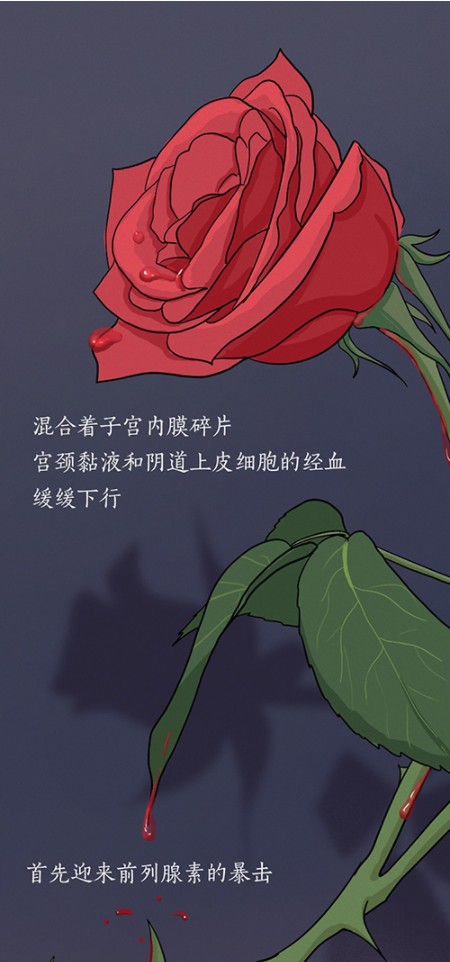 【科普】沉浸式体验女性月经期全过程