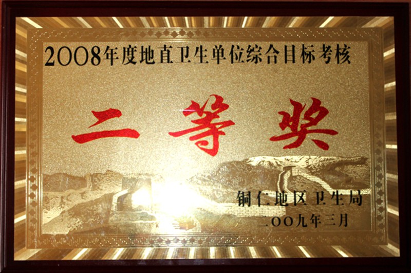 2008地直卫生单位综合目标考核二等奖