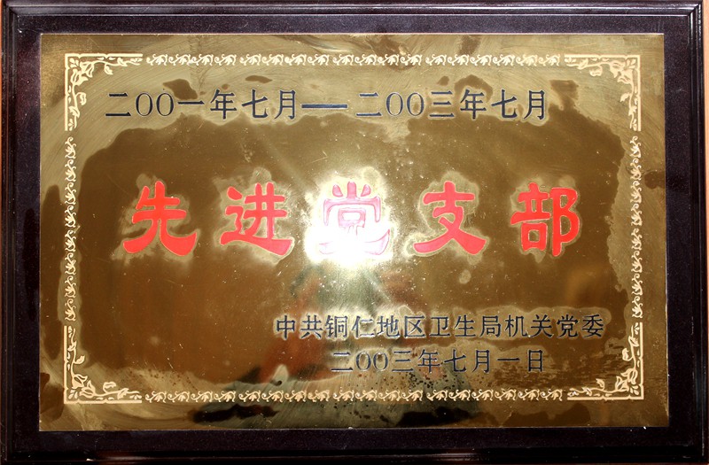 2001-2003年度先进党支部