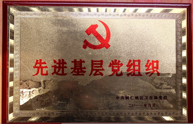 2011年度先进基层党组织