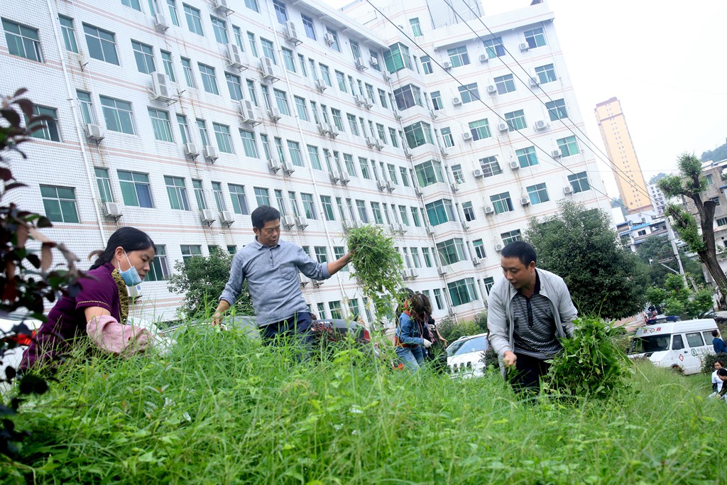 我院积极开展爱国卫生运动切实做好病媒生物防制工作