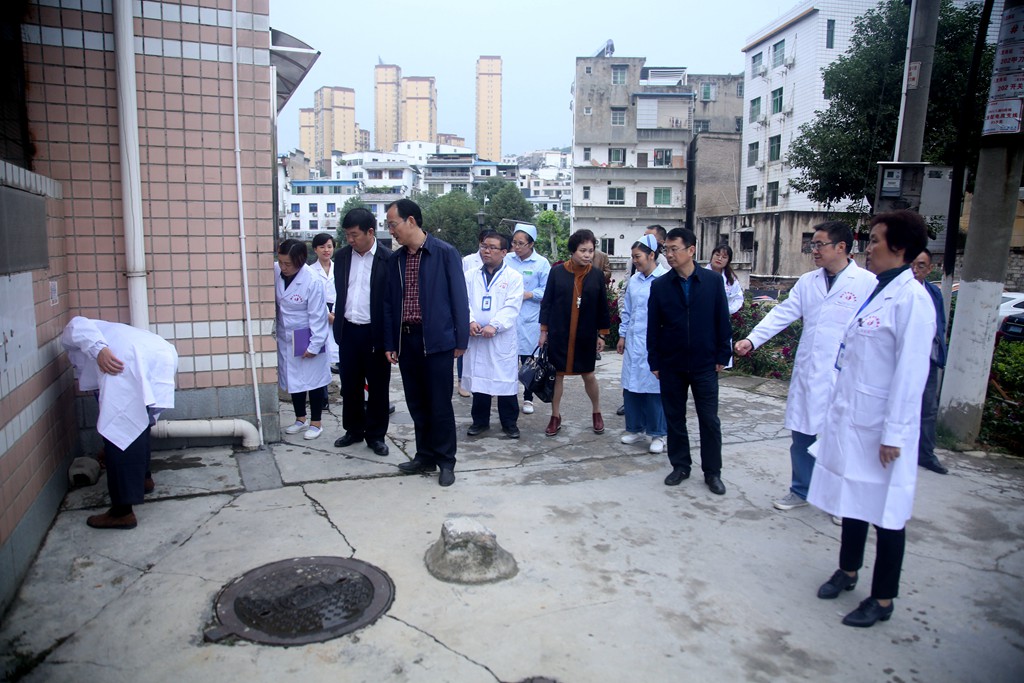 市委常委、市委宣传部部长夏虹对我院开展创卫病媒生物防制专项工作进行督导