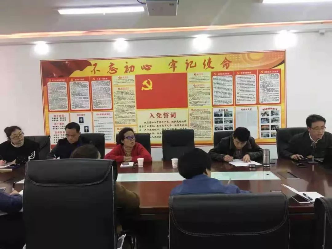 铜仁市妇幼保健院党支部开展2019年第一季度党课学习活动