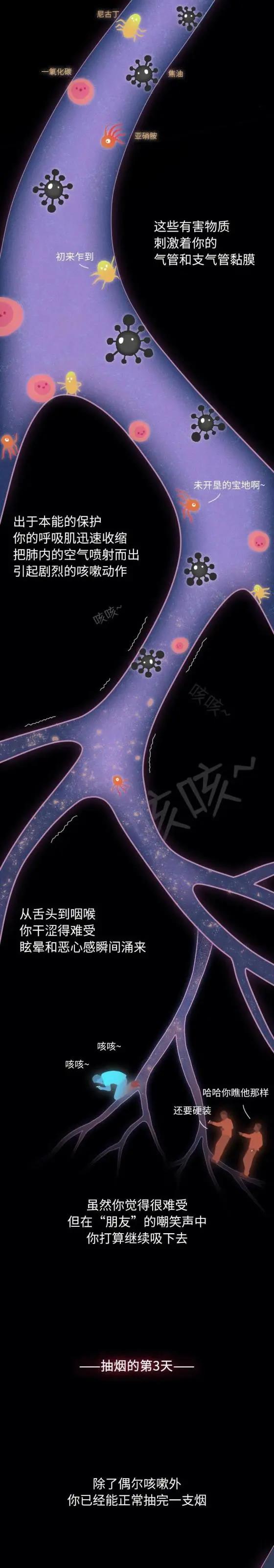 知识  抽烟30年，你的肺都经历了什么？