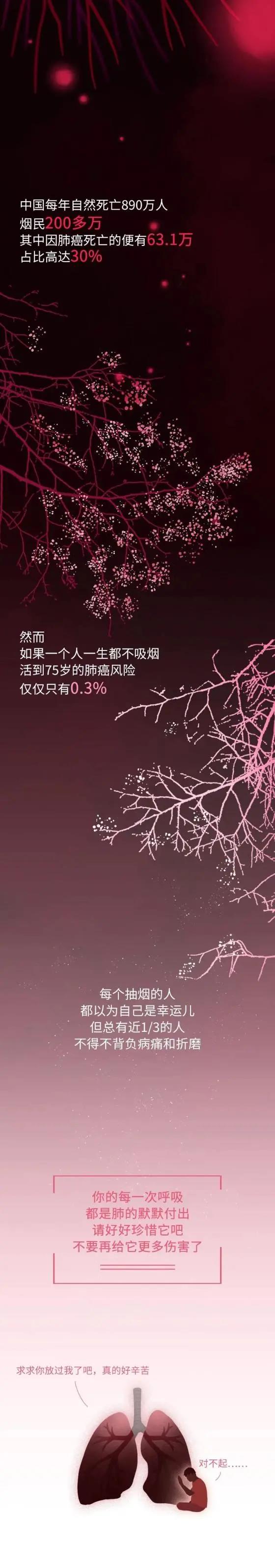 知识  抽烟30年，你的肺都经历了什么？