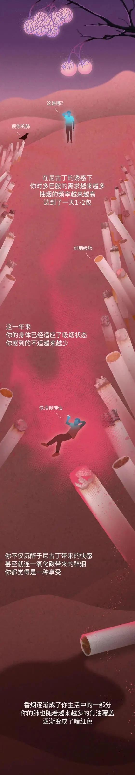 知识  抽烟30年，你的肺都经历了什么？