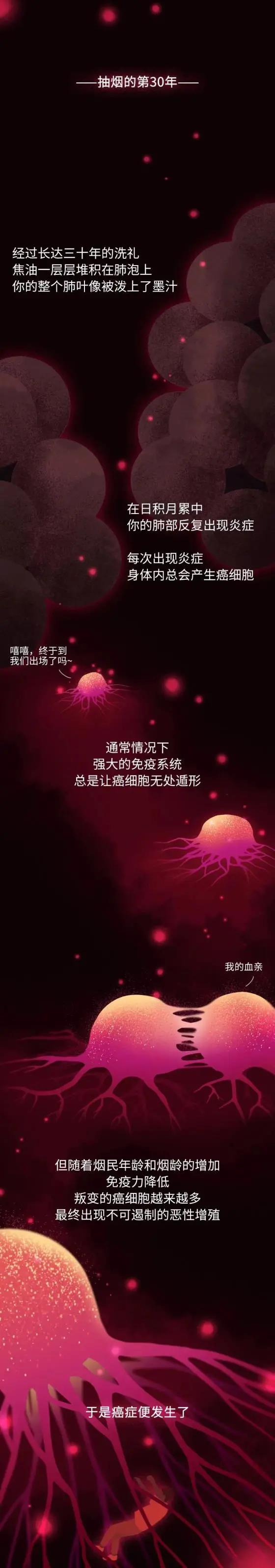知识  抽烟30年，你的肺都经历了什么？