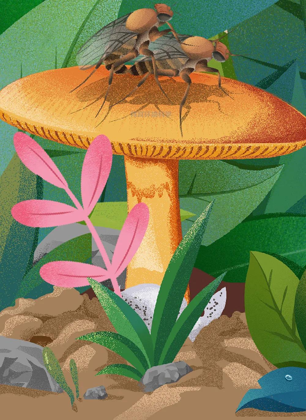 知识 | 一图了解！蚤蝇生物特性和危害