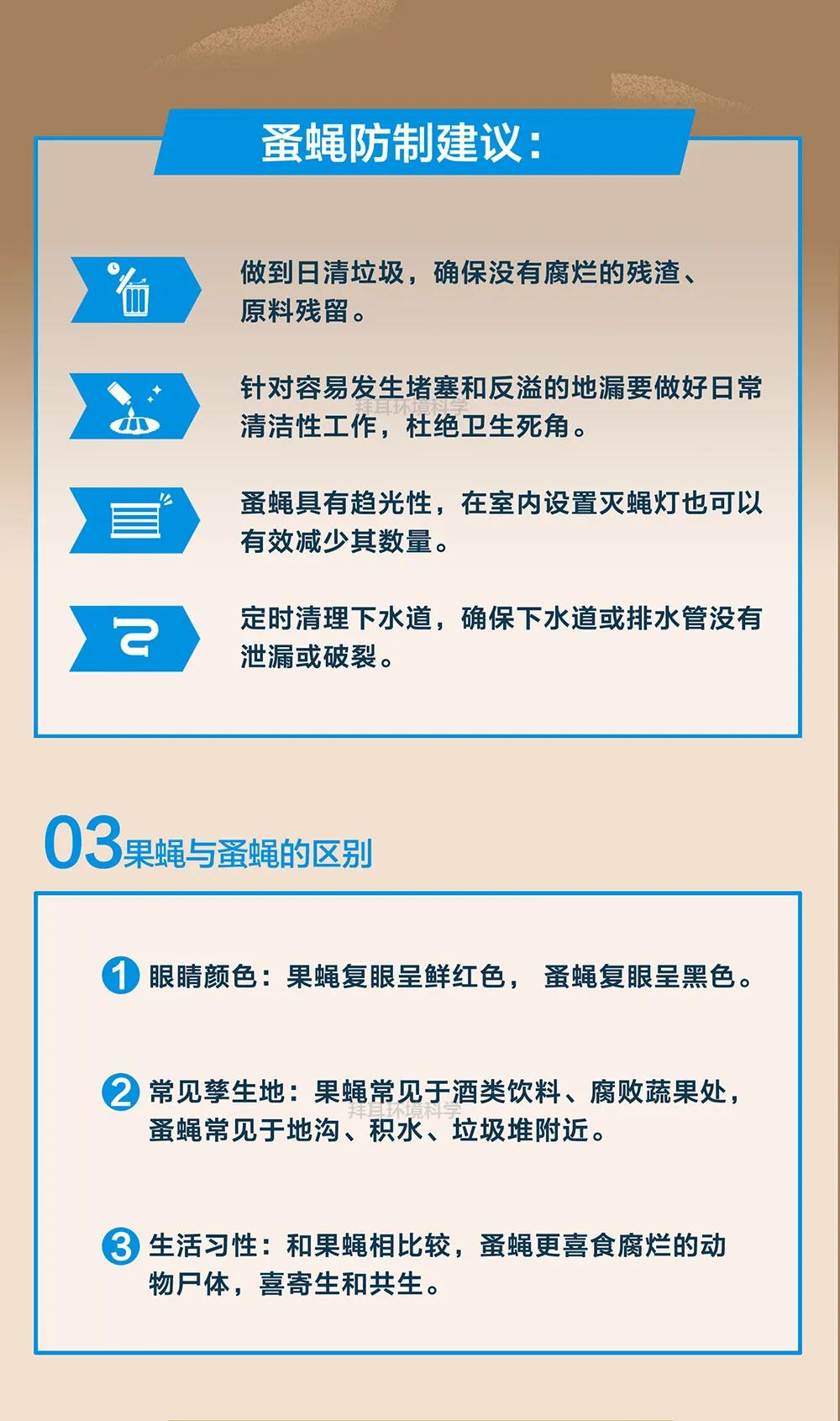 知识 | 一图了解！蚤蝇生物特性和危害