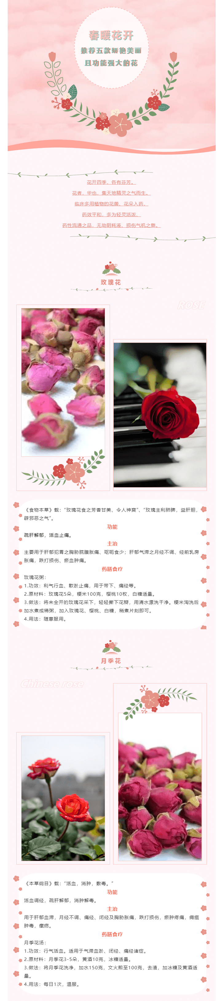 【科普】春暖花开！五款娇艳美丽且功能强大的花儿推荐给您