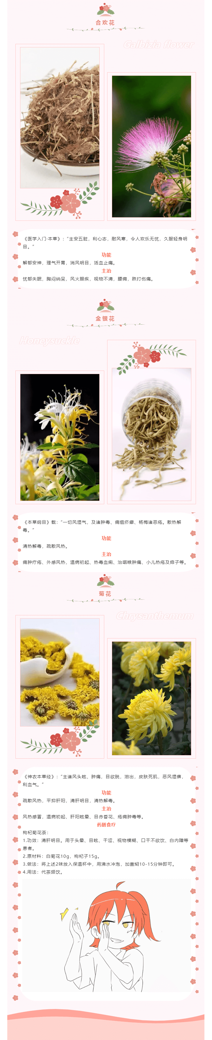 【科普】春暖花开！五款娇艳美丽且功能强大的花儿推荐给您
