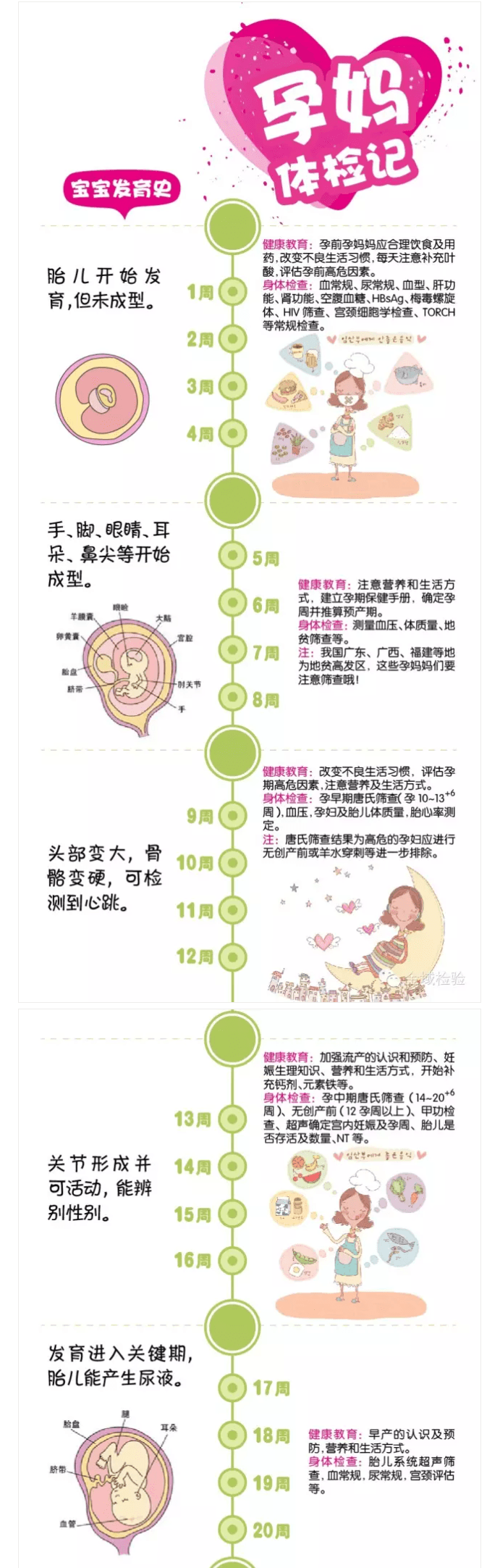 【科普】孕前孕期保健，准爸准妈必看！