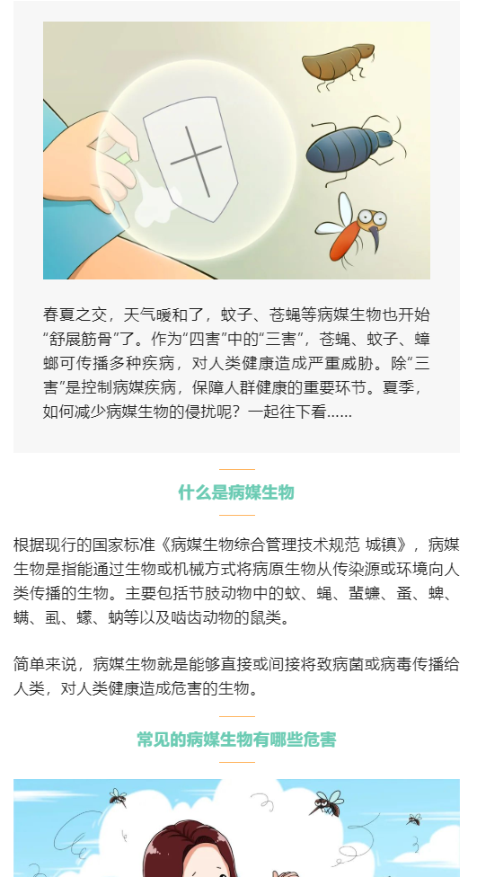 夏天到了，如何减少蚊、蝇等病媒生物的侵扰？【爱国卫生月】