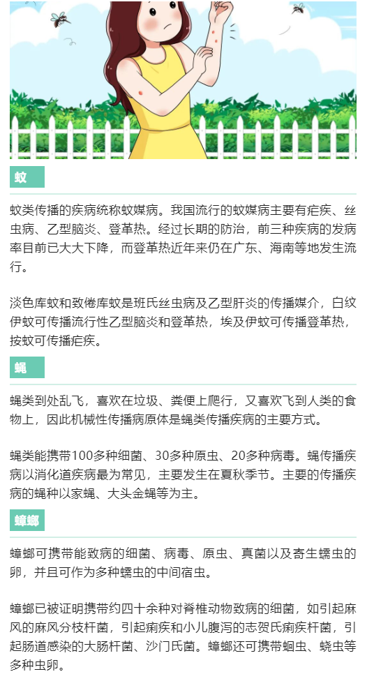 夏天到了，如何减少蚊、蝇等病媒生物的侵扰？【爱国卫生月】