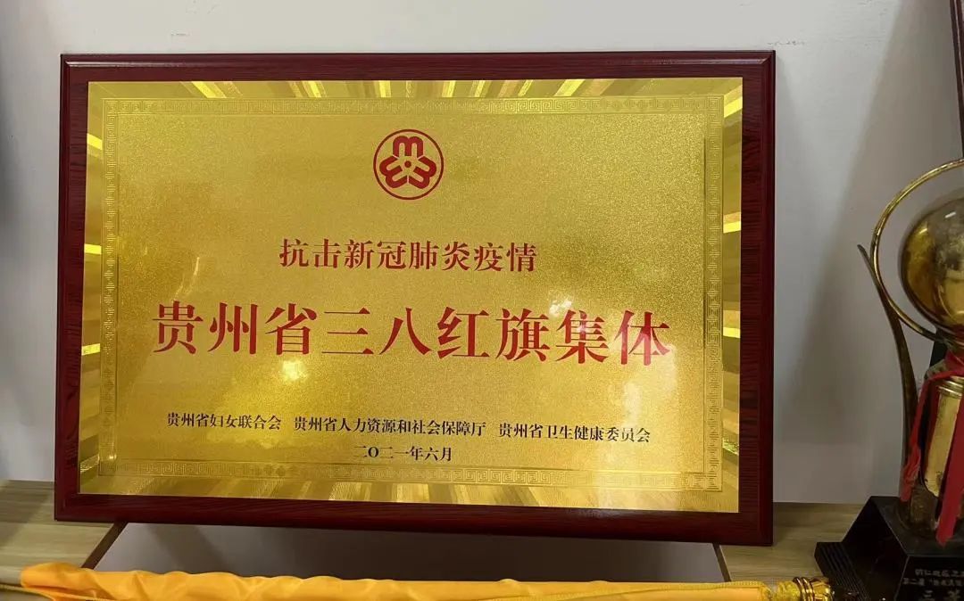 铜仁市妇幼保健院被省妇联、省人社厅、省卫生健康委表彰为“抗击新冠肺炎疫情贵州省三八红旗集体”