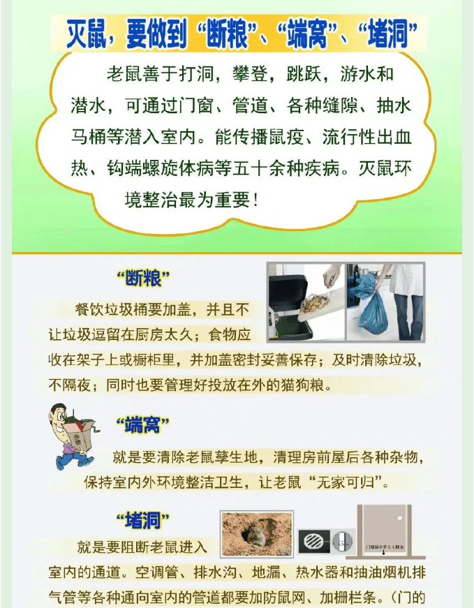 健康 | 爱国卫生洁家园，除害防病保健康