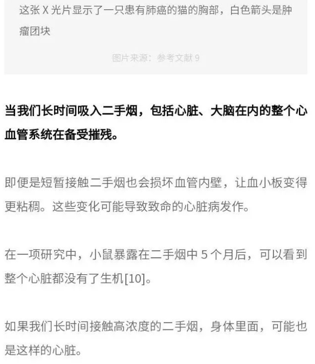 知识 | 揭秘二手烟毒性的 3 个真相！有人抽烟就有害