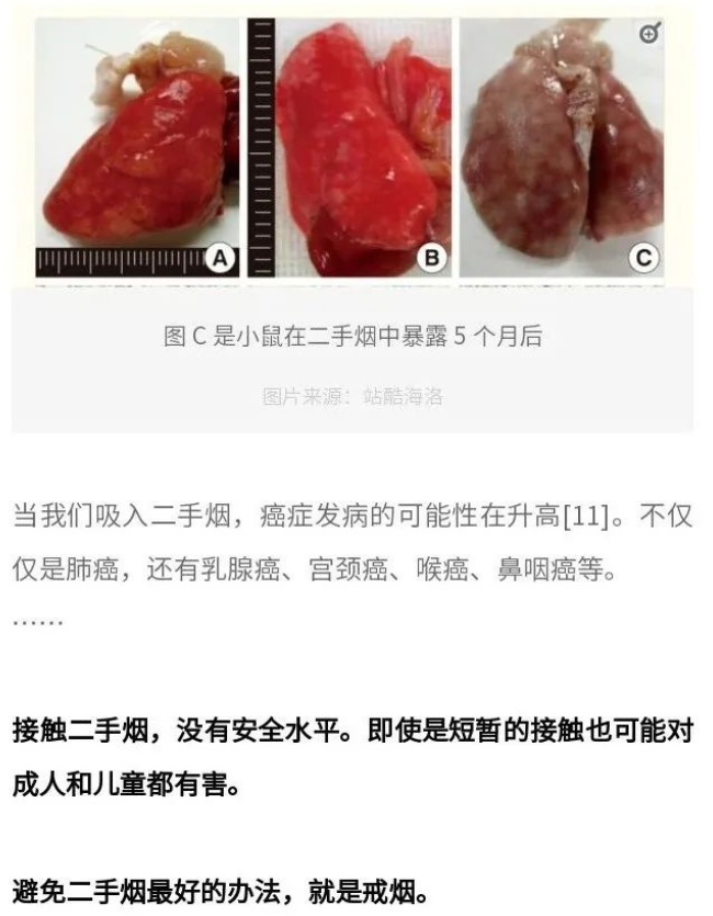 知识 | 揭秘二手烟毒性的 3 个真相！有人抽烟就有害