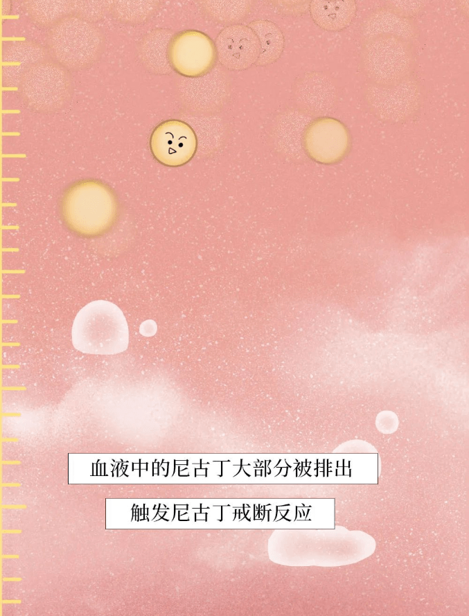 一图看懂 | 为什么一定要戒烟？