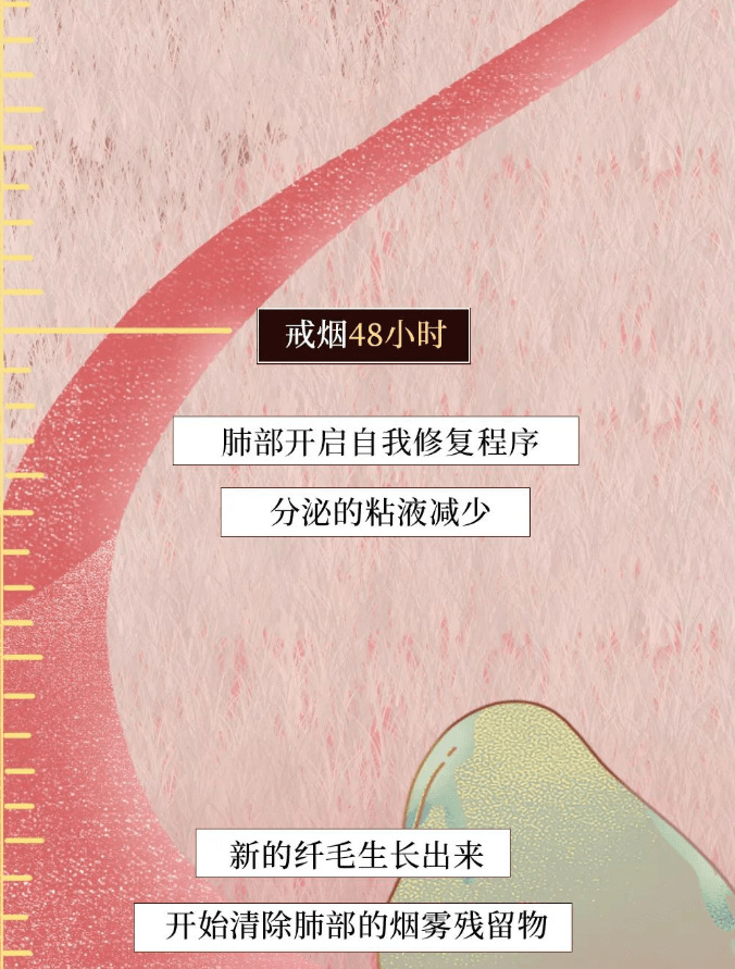 一图看懂 | 为什么一定要戒烟？
