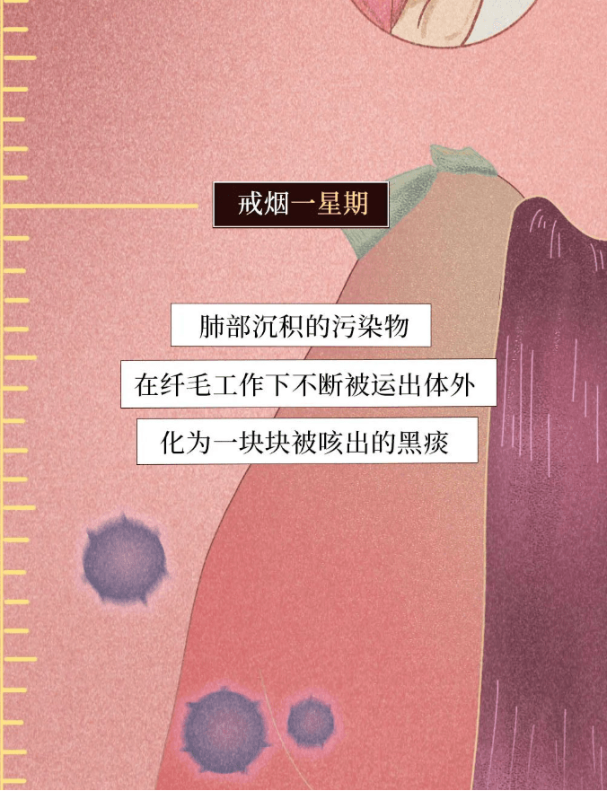 一图看懂 | 为什么一定要戒烟？