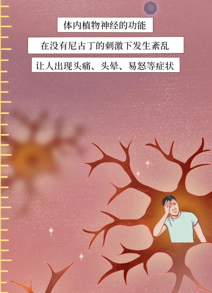 一图看懂 | 为什么一定要戒烟？