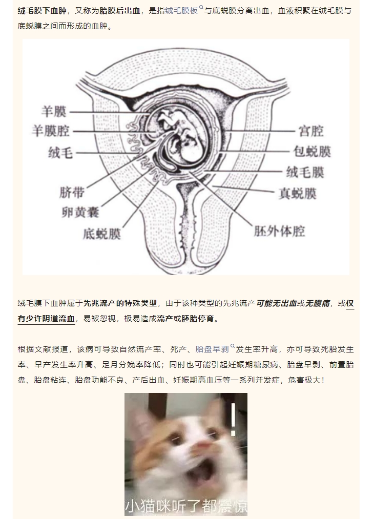 【党建+锦旗背后的故事】孕囊血肿10cm？建议引产？中医保胎治疗成功！