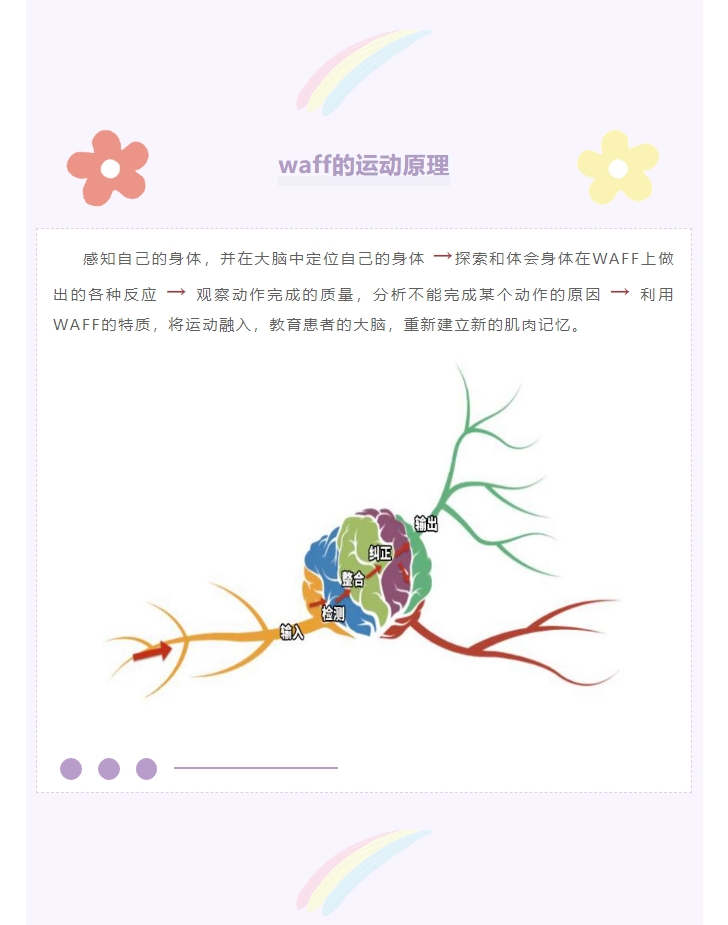 火爆孕妈圈！产后WAFF运动练起来~