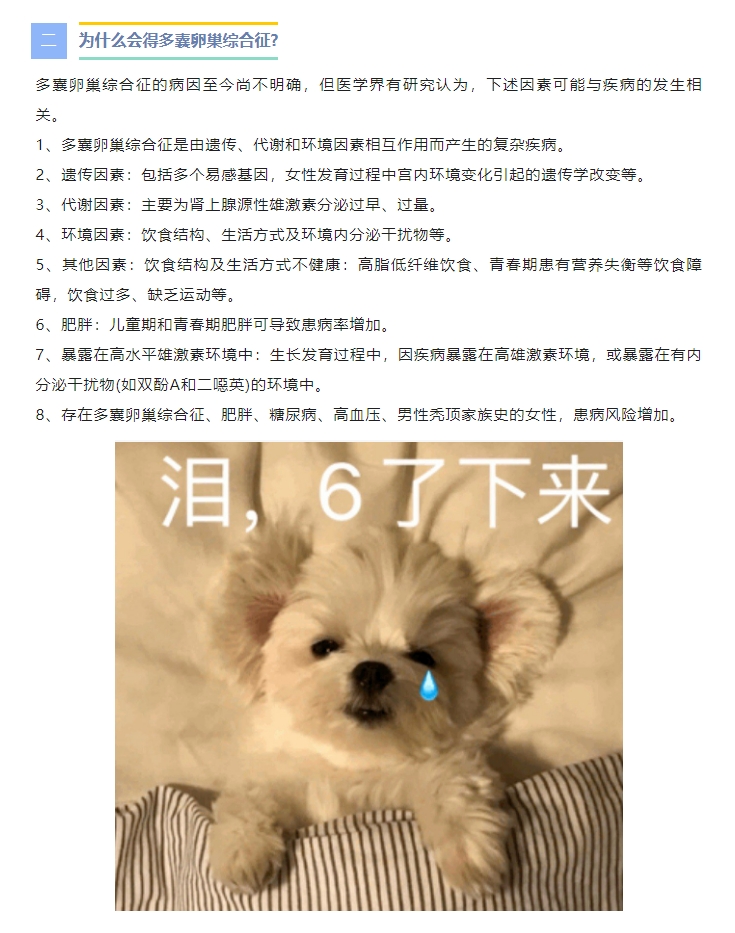 【党建+锦旗背后的故事】婚后五年未孕，多囊妈妈在这里喜获龙凤双胎