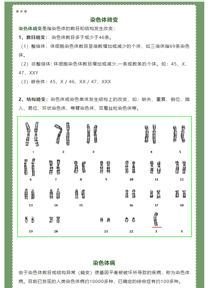 预防出生缺陷，科学健康孕育∣染色体检查对于预防出生缺陷的意义