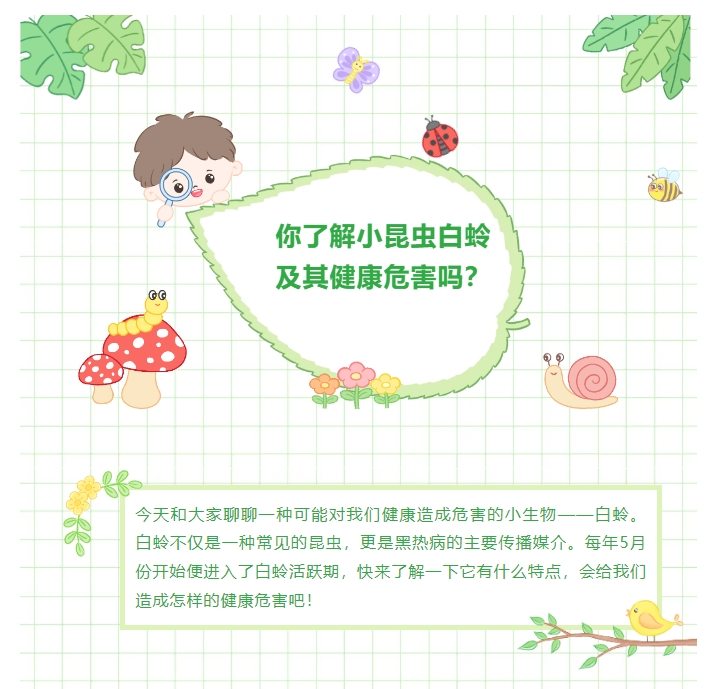 你了解小昆虫白蛉及其健康危害吗？