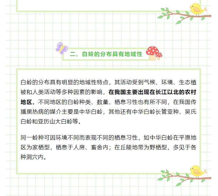 你了解小昆虫白蛉及其健康危害吗？