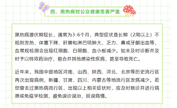 你了解小昆虫白蛉及其健康危害吗？